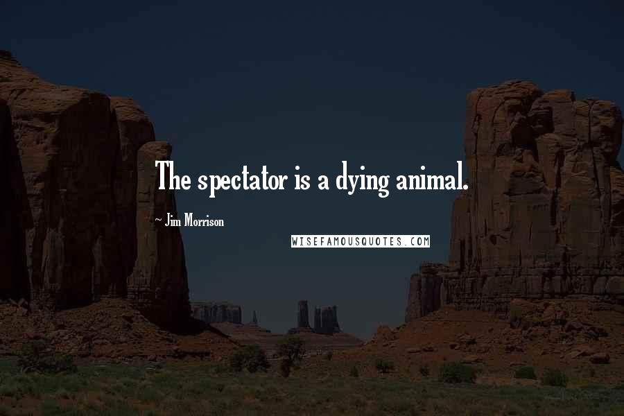 Jim Morrison Quotes: The spectator is a dying animal.