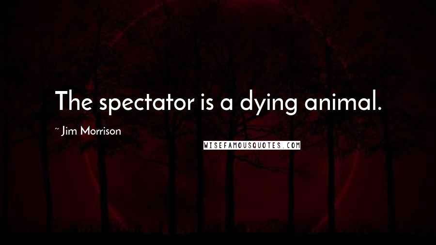 Jim Morrison Quotes: The spectator is a dying animal.