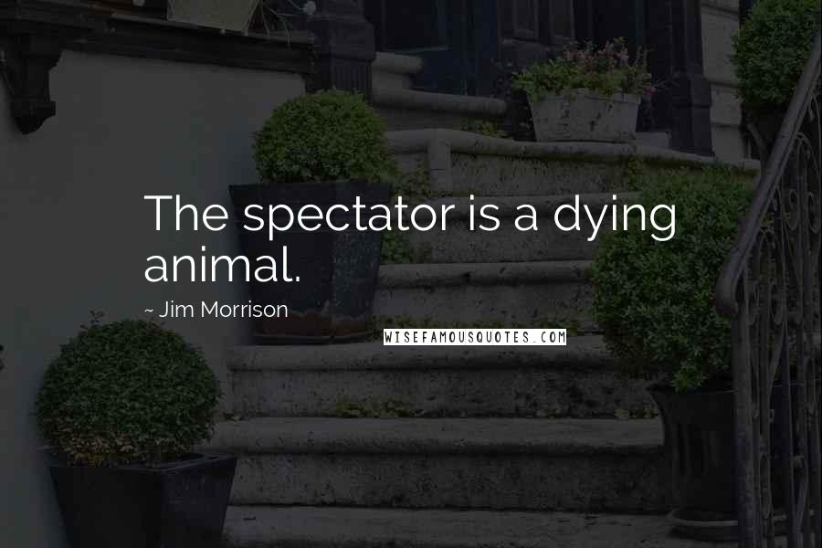 Jim Morrison Quotes: The spectator is a dying animal.