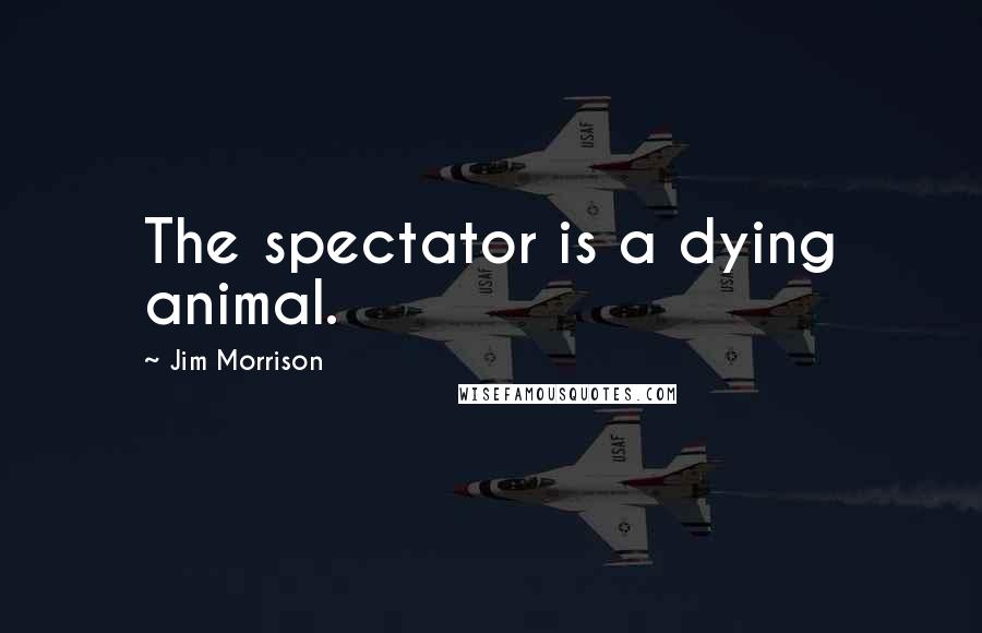 Jim Morrison Quotes: The spectator is a dying animal.