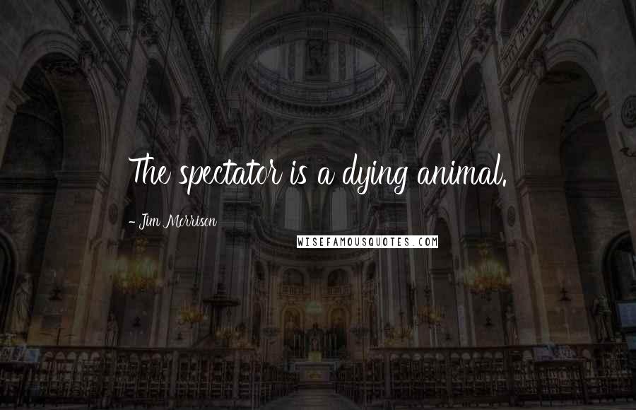 Jim Morrison Quotes: The spectator is a dying animal.