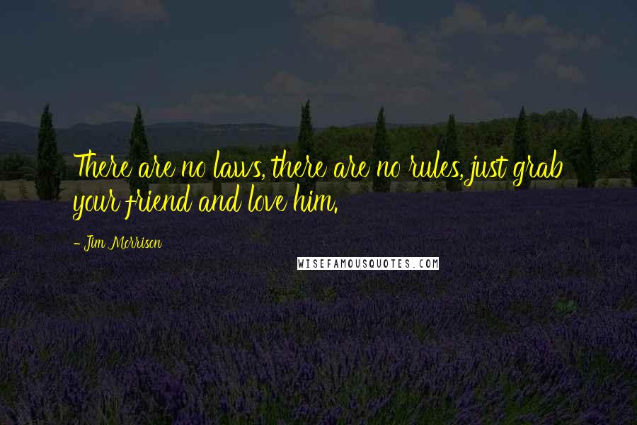 Jim Morrison Quotes: There are no laws, there are no rules, just grab your friend and love him.