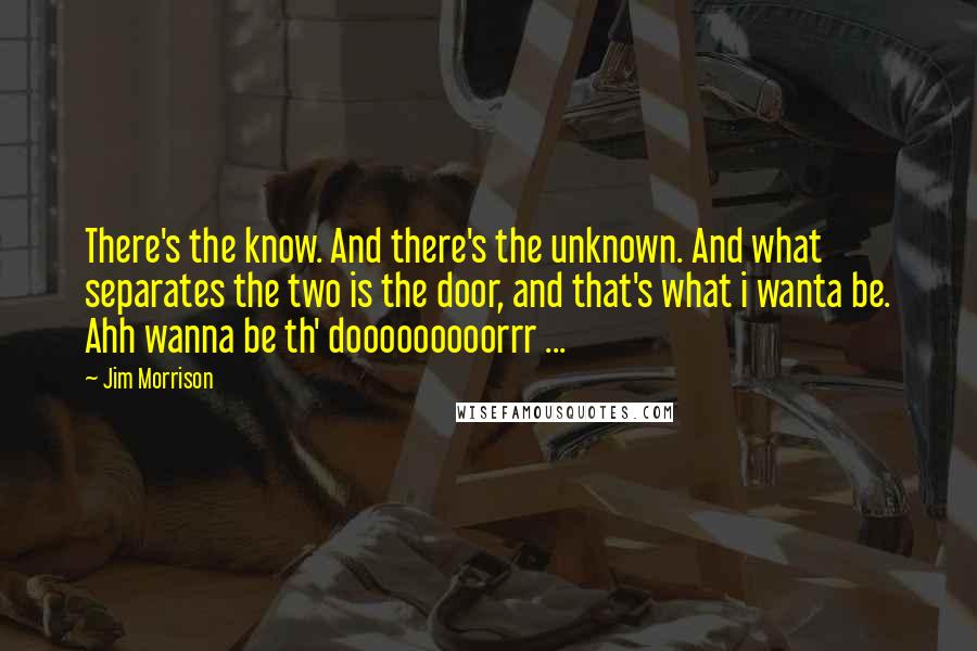 Jim Morrison Quotes: There's the know. And there's the unknown. And what separates the two is the door, and that's what i wanta be. Ahh wanna be th' dooooooooorrr ...