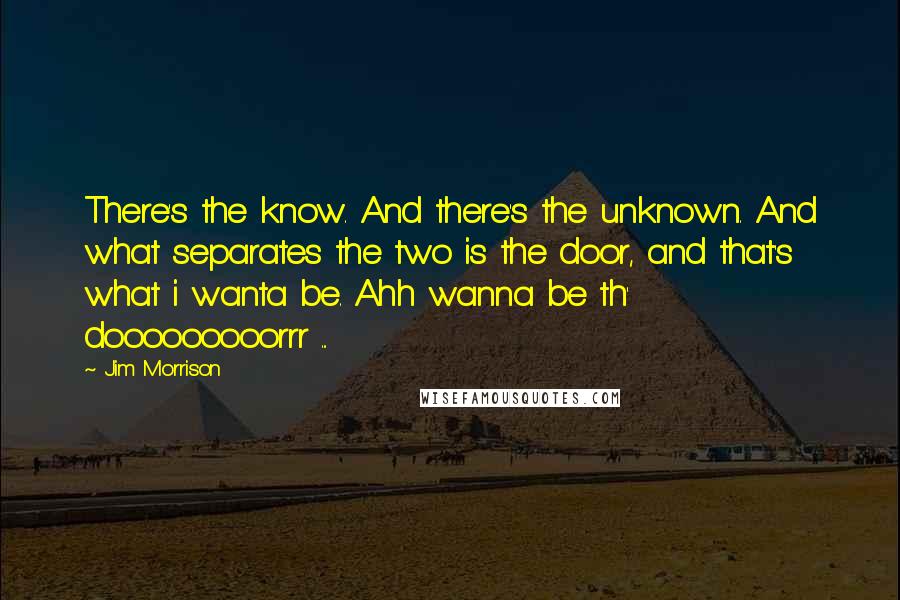 Jim Morrison Quotes: There's the know. And there's the unknown. And what separates the two is the door, and that's what i wanta be. Ahh wanna be th' dooooooooorrr ...