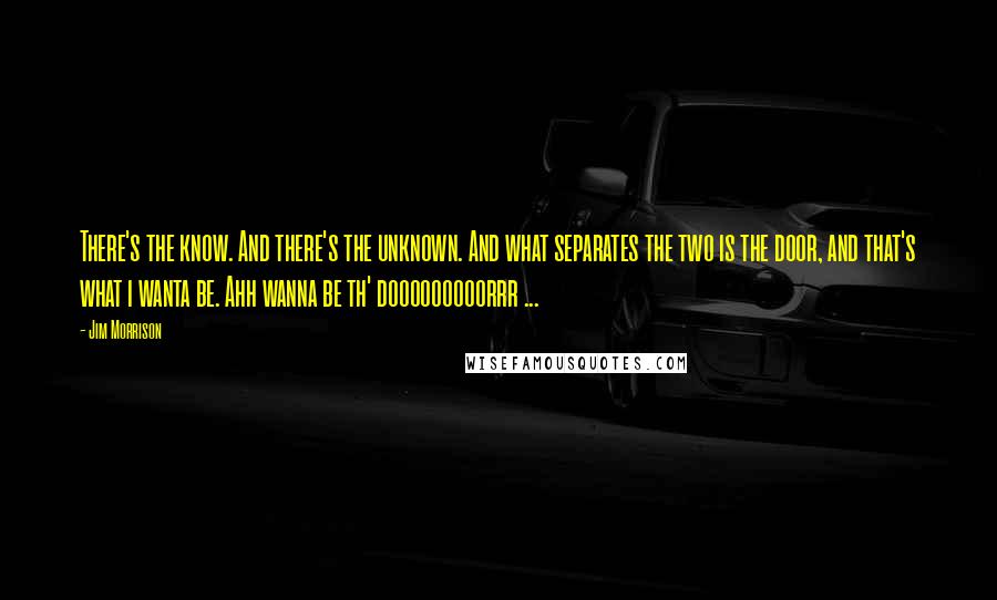 Jim Morrison Quotes: There's the know. And there's the unknown. And what separates the two is the door, and that's what i wanta be. Ahh wanna be th' dooooooooorrr ...