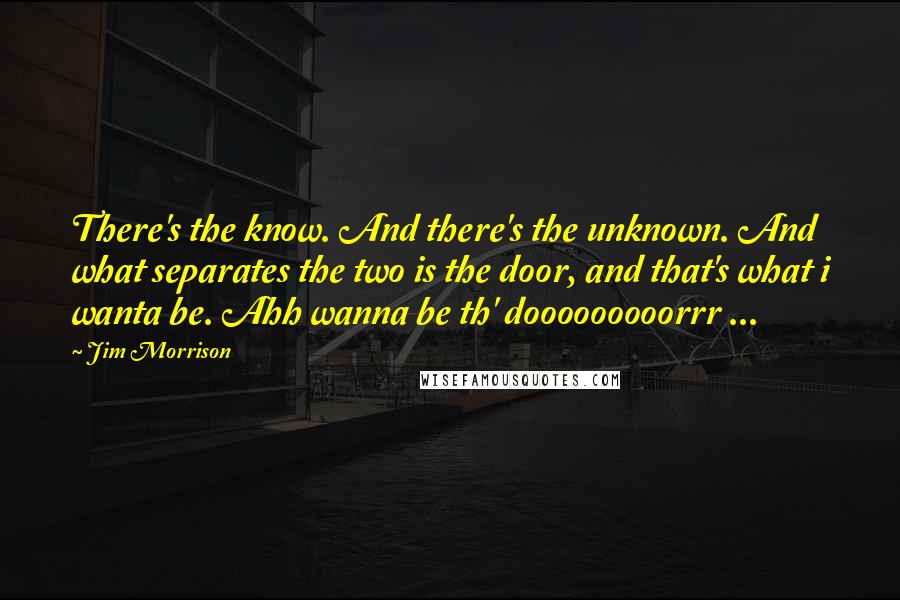 Jim Morrison Quotes: There's the know. And there's the unknown. And what separates the two is the door, and that's what i wanta be. Ahh wanna be th' dooooooooorrr ...
