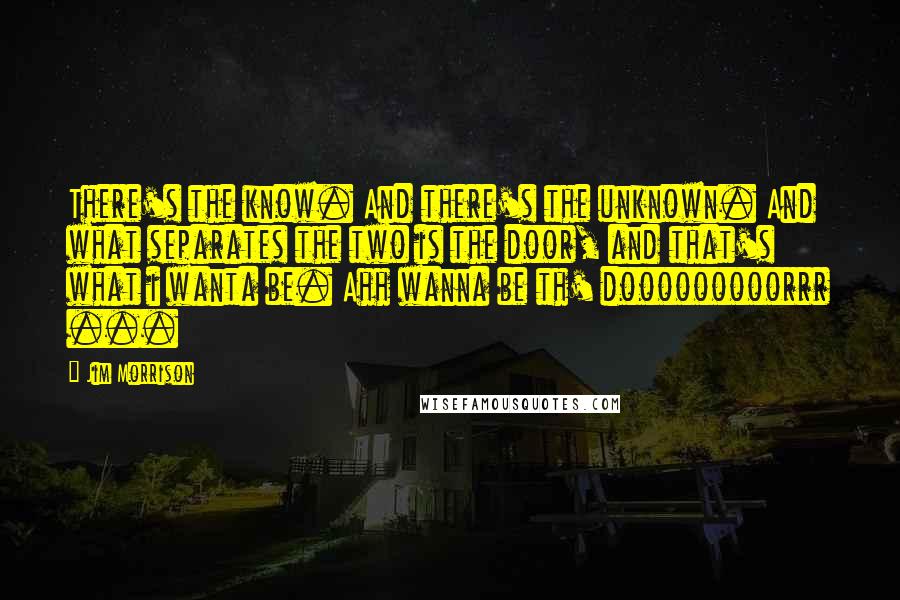 Jim Morrison Quotes: There's the know. And there's the unknown. And what separates the two is the door, and that's what i wanta be. Ahh wanna be th' dooooooooorrr ...