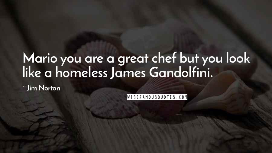 Jim Norton Quotes: Mario you are a great chef but you look like a homeless James Gandolfini.