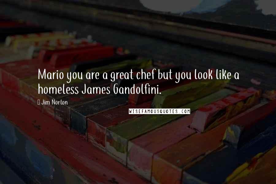 Jim Norton Quotes: Mario you are a great chef but you look like a homeless James Gandolfini.