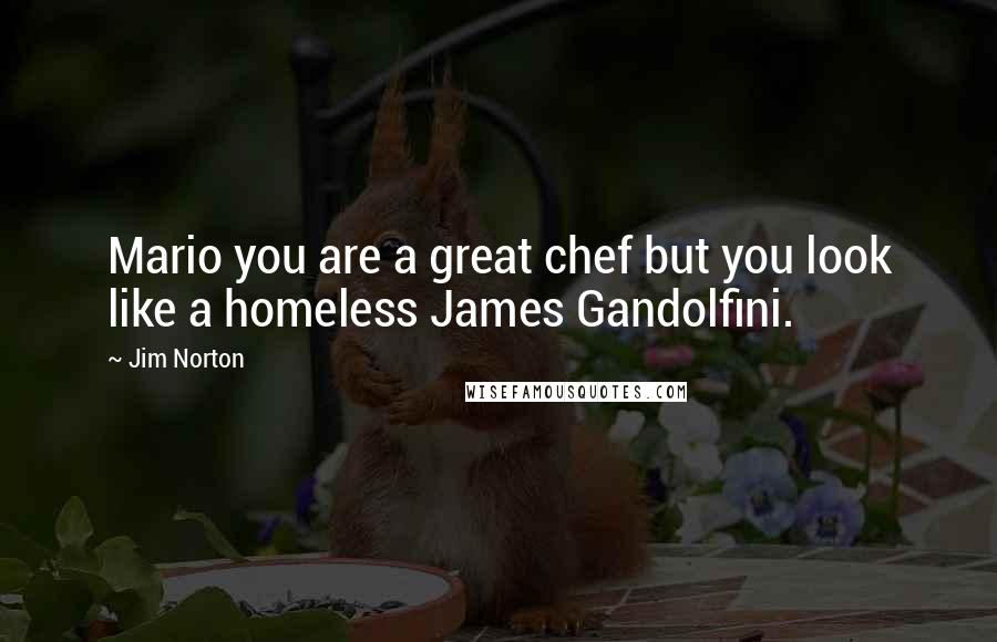 Jim Norton Quotes: Mario you are a great chef but you look like a homeless James Gandolfini.