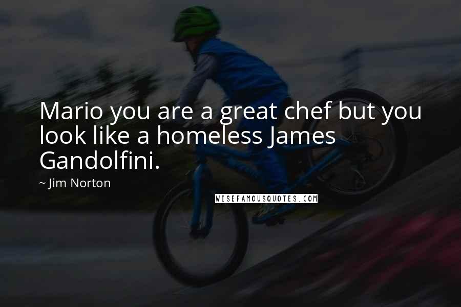 Jim Norton Quotes: Mario you are a great chef but you look like a homeless James Gandolfini.