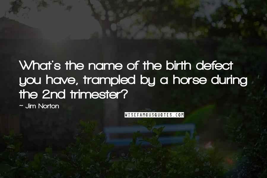 Jim Norton Quotes: What's the name of the birth defect you have, trampled by a horse during the 2nd trimester?