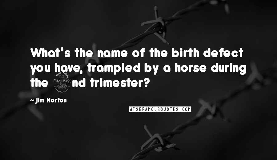 Jim Norton Quotes: What's the name of the birth defect you have, trampled by a horse during the 2nd trimester?