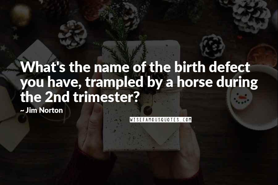 Jim Norton Quotes: What's the name of the birth defect you have, trampled by a horse during the 2nd trimester?