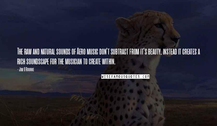 Jim O Rourke Quotes: The raw and natural sounds of Aero music don't subtract from it's beauty, instead it creates a rich soundscape for the musician to create within.