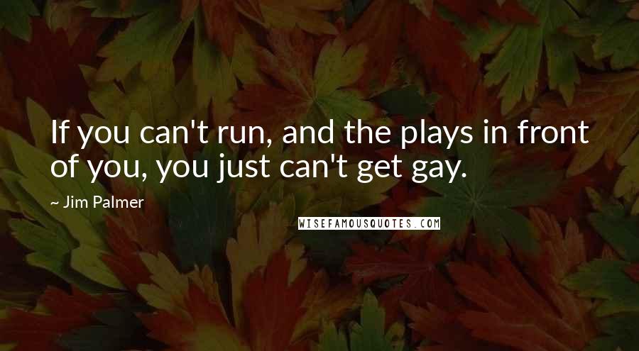 Jim Palmer Quotes: If you can't run, and the plays in front of you, you just can't get gay.