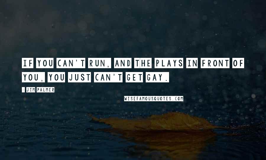 Jim Palmer Quotes: If you can't run, and the plays in front of you, you just can't get gay.