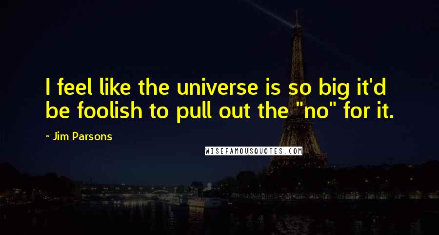 Jim Parsons Quotes: I feel like the universe is so big it'd be foolish to pull out the "no" for it.