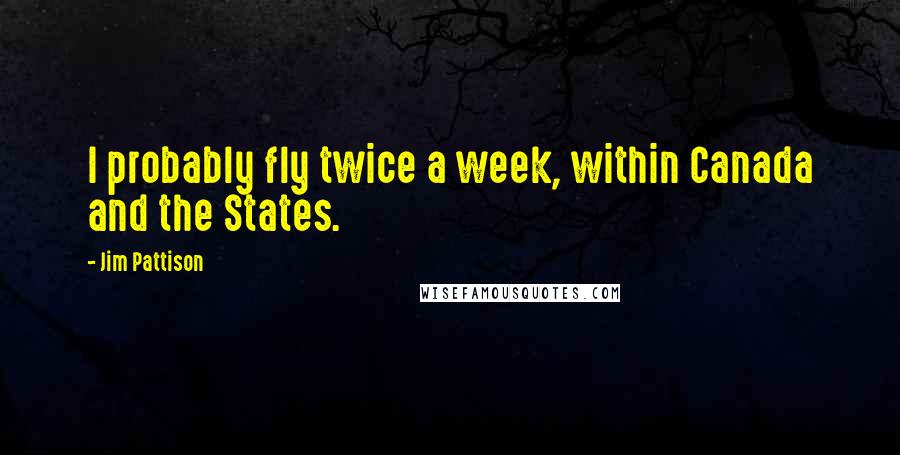 Jim Pattison Quotes: I probably fly twice a week, within Canada and the States.