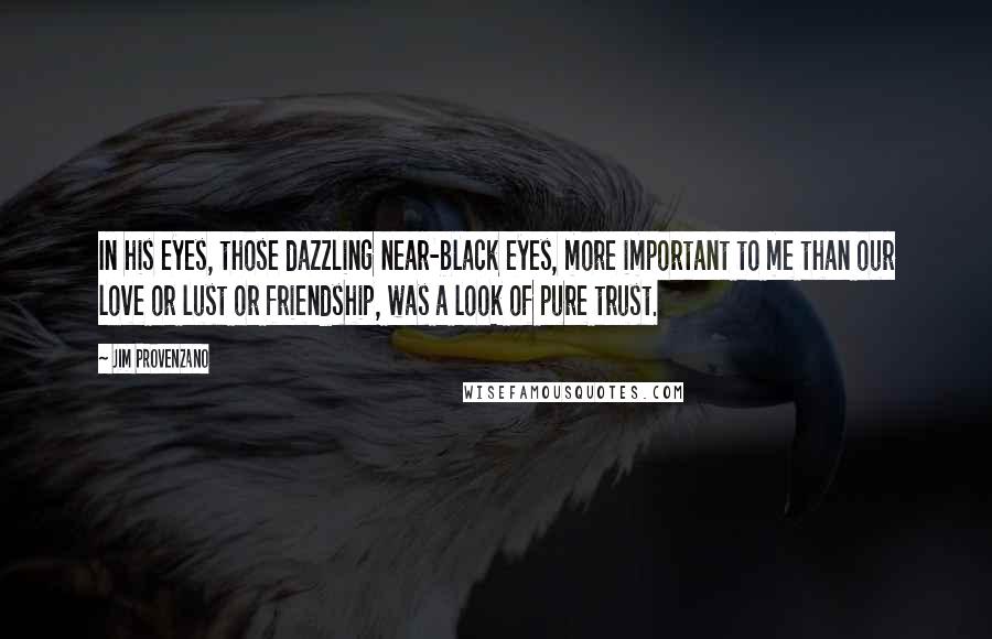 Jim Provenzano Quotes: In his eyes, those dazzling near-black eyes, more important to me than our love or lust or friendship, was a look of pure trust.