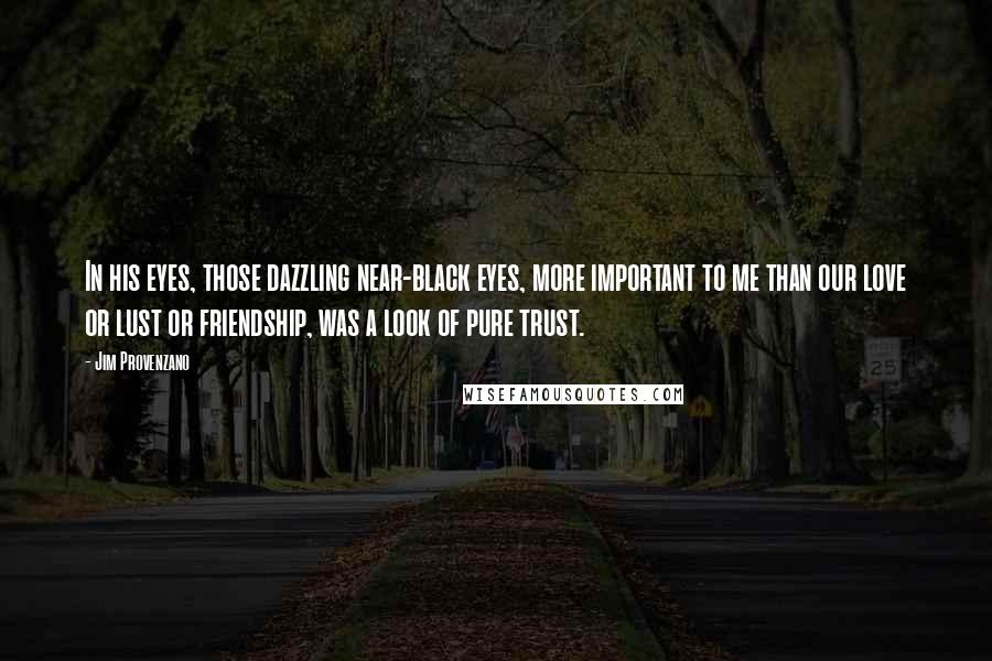 Jim Provenzano Quotes: In his eyes, those dazzling near-black eyes, more important to me than our love or lust or friendship, was a look of pure trust.