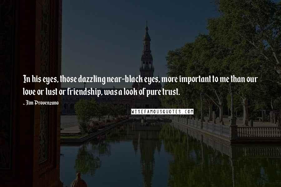 Jim Provenzano Quotes: In his eyes, those dazzling near-black eyes, more important to me than our love or lust or friendship, was a look of pure trust.