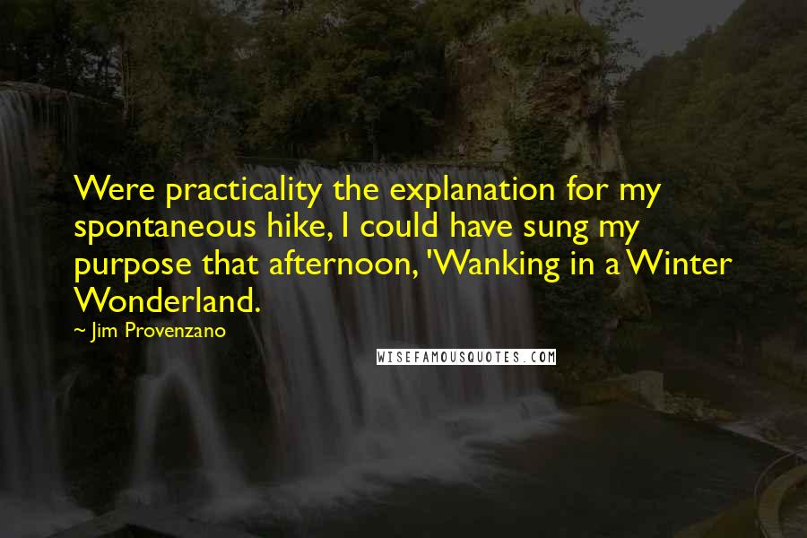 Jim Provenzano Quotes: Were practicality the explanation for my spontaneous hike, I could have sung my purpose that afternoon, 'Wanking in a Winter Wonderland.
