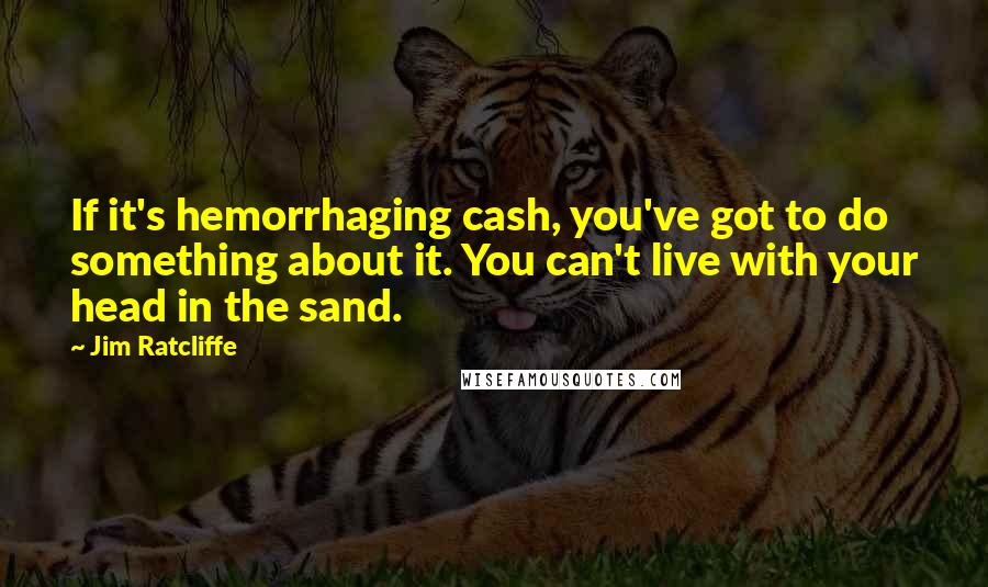 Jim Ratcliffe Quotes: If it's hemorrhaging cash, you've got to do something about it. You can't live with your head in the sand.