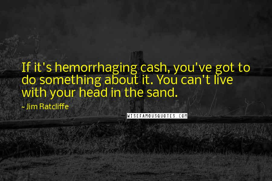 Jim Ratcliffe Quotes: If it's hemorrhaging cash, you've got to do something about it. You can't live with your head in the sand.