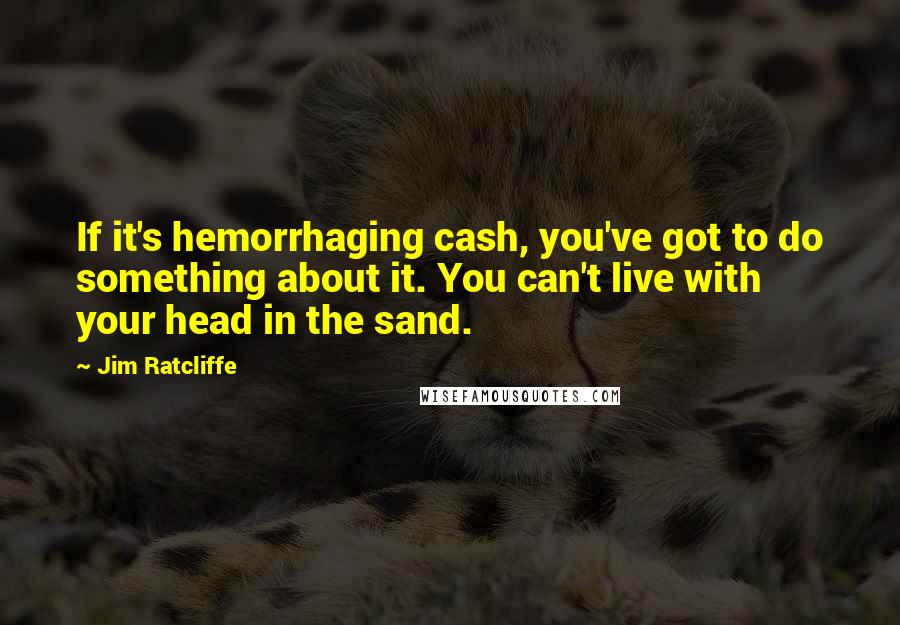 Jim Ratcliffe Quotes: If it's hemorrhaging cash, you've got to do something about it. You can't live with your head in the sand.