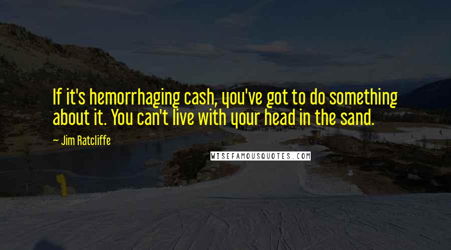 Jim Ratcliffe Quotes: If it's hemorrhaging cash, you've got to do something about it. You can't live with your head in the sand.