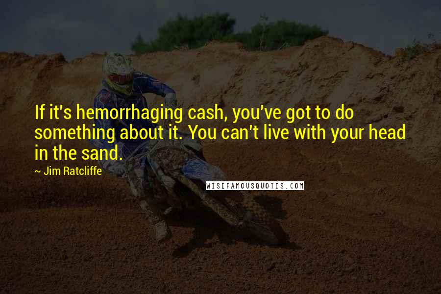 Jim Ratcliffe Quotes: If it's hemorrhaging cash, you've got to do something about it. You can't live with your head in the sand.