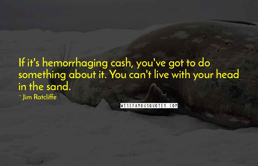 Jim Ratcliffe Quotes: If it's hemorrhaging cash, you've got to do something about it. You can't live with your head in the sand.