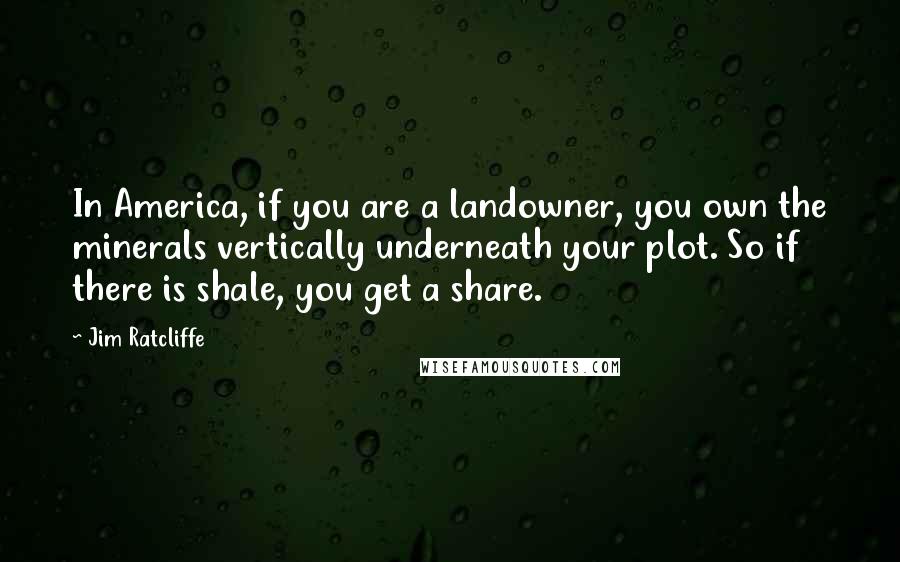 Jim Ratcliffe Quotes: In America, if you are a landowner, you own the minerals vertically underneath your plot. So if there is shale, you get a share.