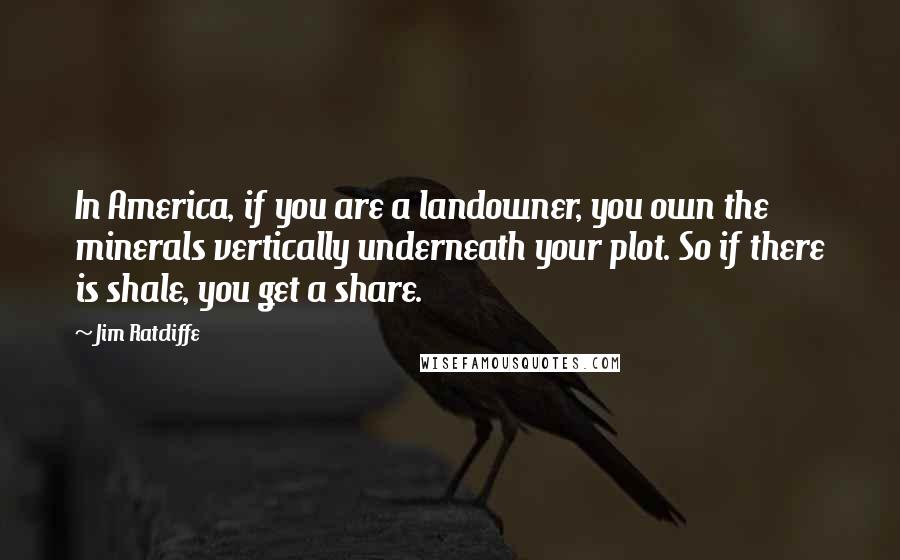 Jim Ratcliffe Quotes: In America, if you are a landowner, you own the minerals vertically underneath your plot. So if there is shale, you get a share.