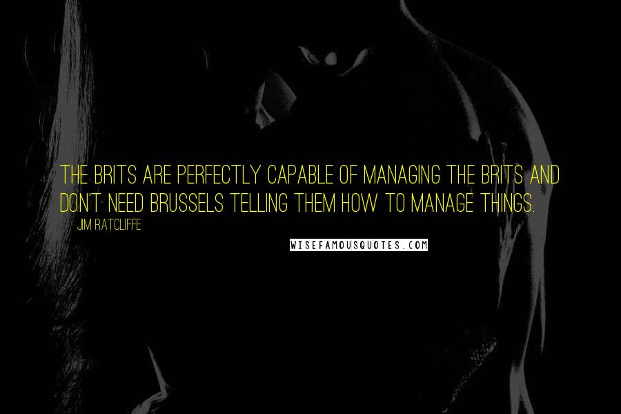 Jim Ratcliffe Quotes: The Brits are perfectly capable of managing the Brits and don't need Brussels telling them how to manage things.