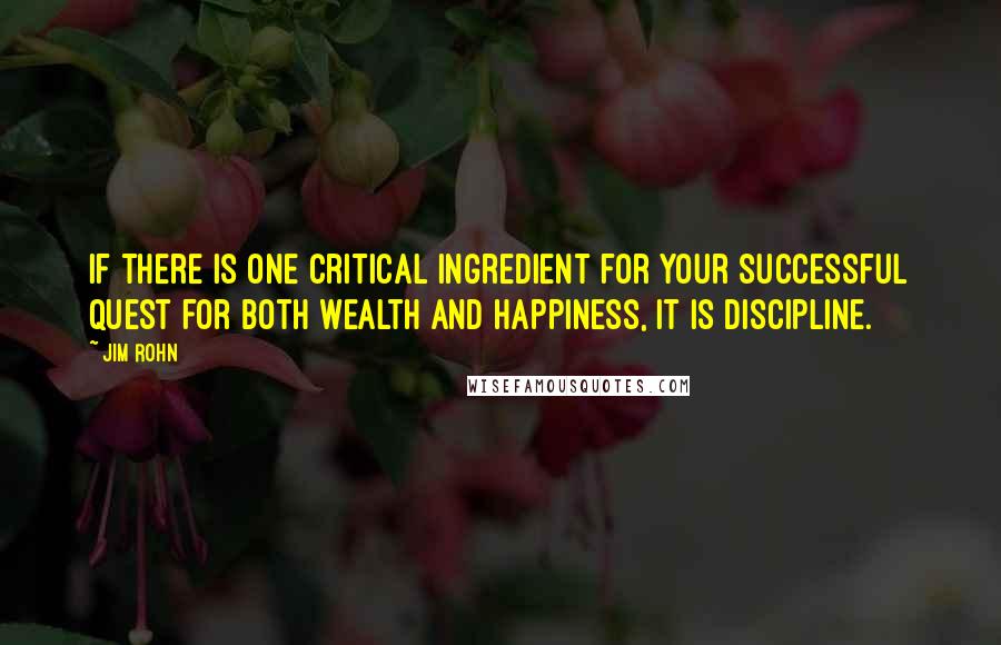 Jim Rohn Quotes: If there is one critical ingredient for your successful quest for both wealth and happiness, it is discipline.