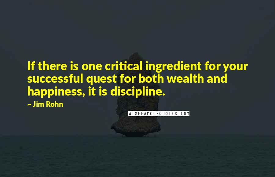 Jim Rohn Quotes: If there is one critical ingredient for your successful quest for both wealth and happiness, it is discipline.