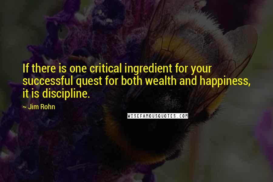 Jim Rohn Quotes: If there is one critical ingredient for your successful quest for both wealth and happiness, it is discipline.