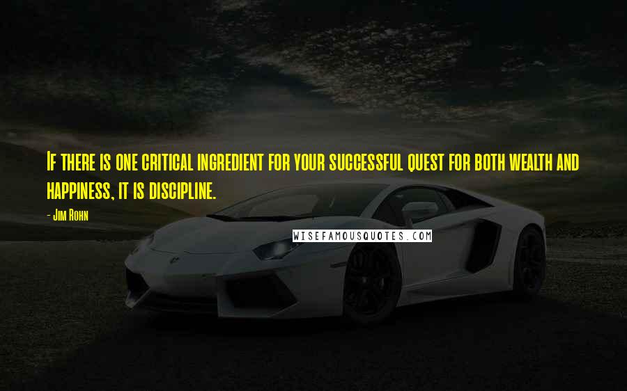 Jim Rohn Quotes: If there is one critical ingredient for your successful quest for both wealth and happiness, it is discipline.