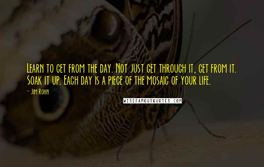 Jim Rohn Quotes: Learn to get from the day. Not just get through it, get from it. Soak it up. Each day is a piece of the mosaic of your life.