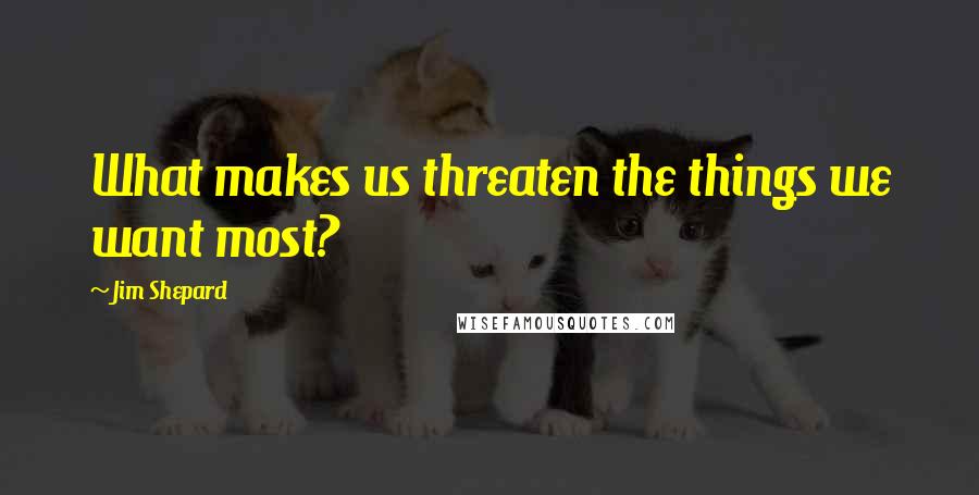 Jim Shepard Quotes: What makes us threaten the things we want most?
