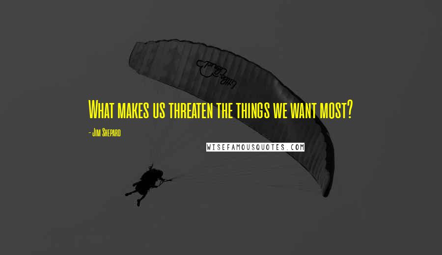 Jim Shepard Quotes: What makes us threaten the things we want most?