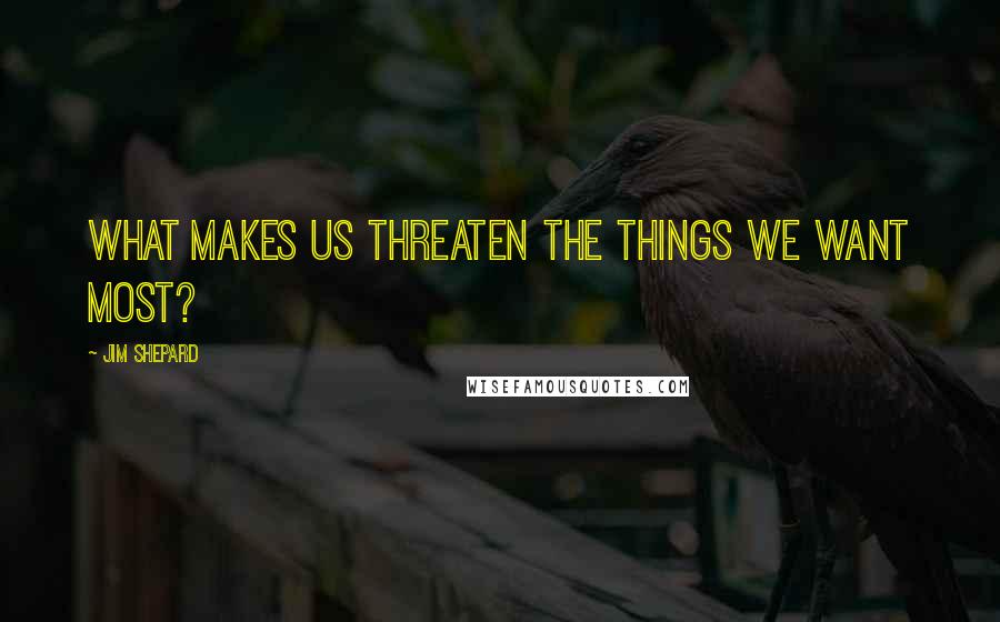 Jim Shepard Quotes: What makes us threaten the things we want most?