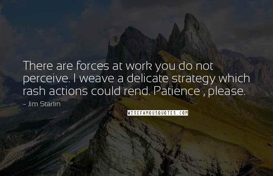 Jim Starlin Quotes: There are forces at work you do not perceive. I weave a delicate strategy which rash actions could rend. Patience , please.