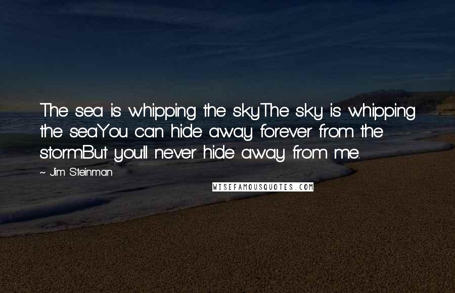 Jim Steinman Quotes: The sea is whipping the skyThe sky is whipping the seaYou can hide away forever from the stormBut you'll never hide away from me.