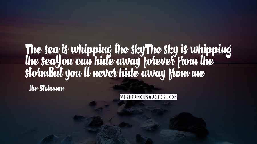 Jim Steinman Quotes: The sea is whipping the skyThe sky is whipping the seaYou can hide away forever from the stormBut you'll never hide away from me.