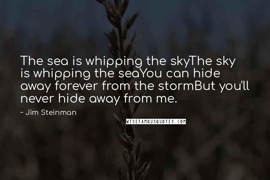 Jim Steinman Quotes: The sea is whipping the skyThe sky is whipping the seaYou can hide away forever from the stormBut you'll never hide away from me.