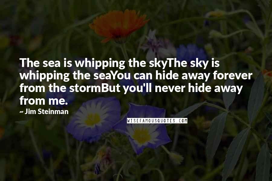 Jim Steinman Quotes: The sea is whipping the skyThe sky is whipping the seaYou can hide away forever from the stormBut you'll never hide away from me.