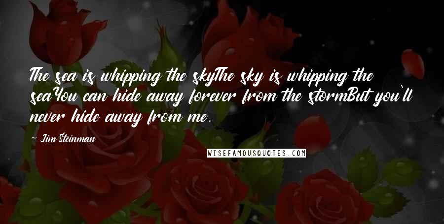 Jim Steinman Quotes: The sea is whipping the skyThe sky is whipping the seaYou can hide away forever from the stormBut you'll never hide away from me.